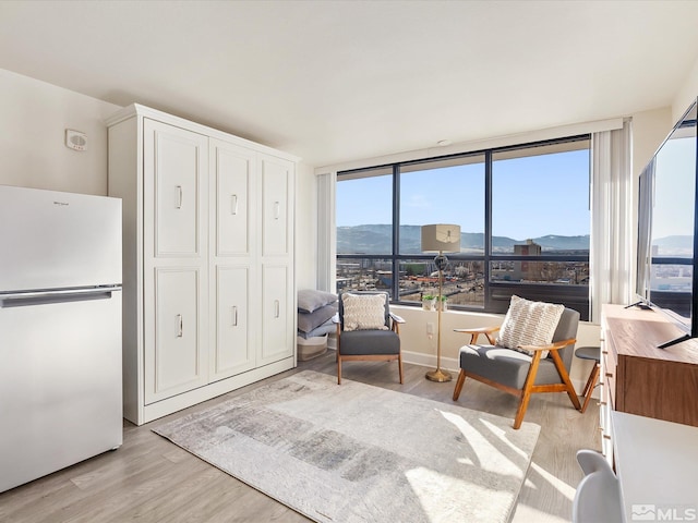 sitting room with light hardwood / wood-style floors