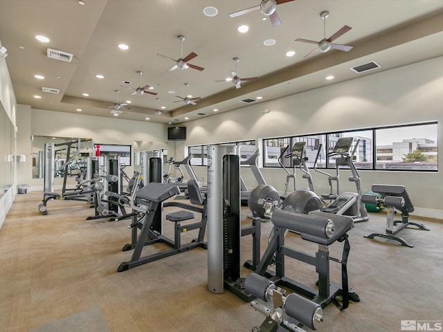 exercise room with a raised ceiling