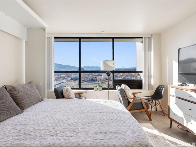 bedroom with wood-type flooring