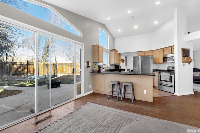 kitchen with high vaulted ceiling, wood-type flooring, appliances with stainless steel finishes, and kitchen peninsula