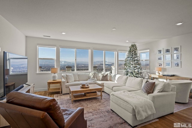 living room with a mountain view and wood-type flooring