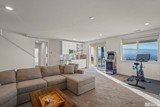 living room with sink