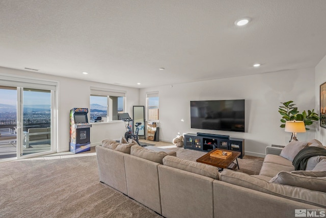 carpeted living room with a textured ceiling