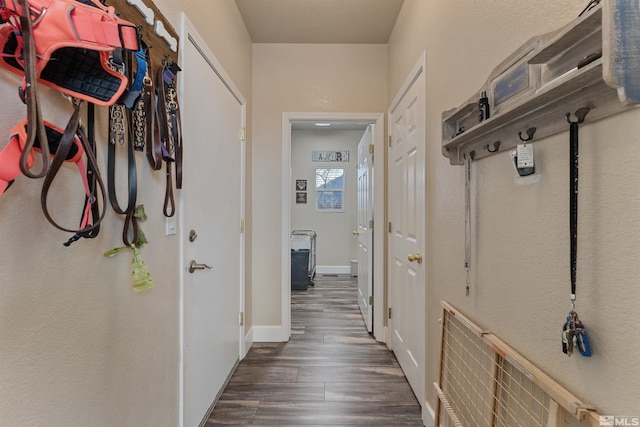 corridor with dark hardwood / wood-style flooring