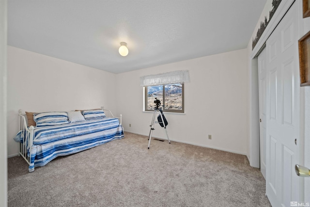 bedroom featuring carpet and a closet