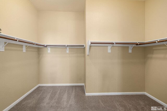 spacious closet with carpet