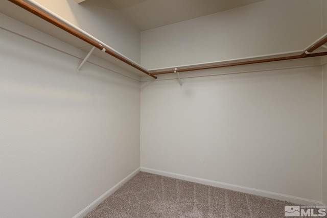 spacious closet with carpet flooring