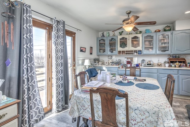 dining room with ceiling fan and light hardwood / wood-style flooring