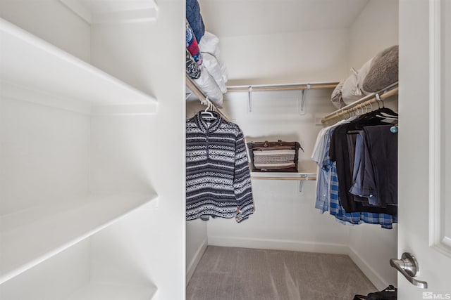 spacious closet with carpet floors