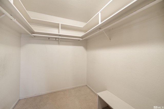 spacious closet with light carpet