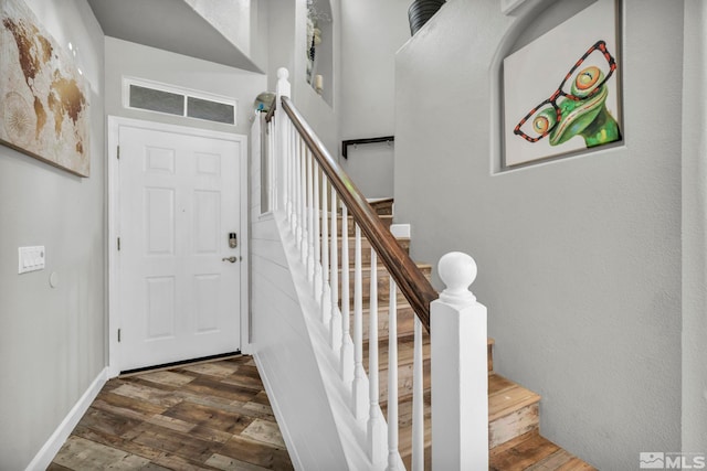 foyer entrance featuring dark wood-type flooring