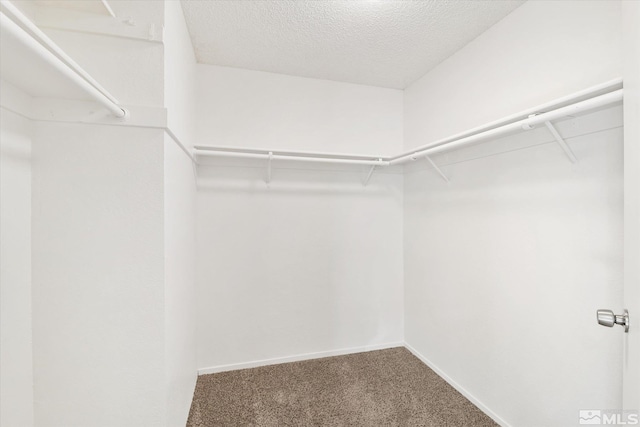 spacious closet with carpet floors