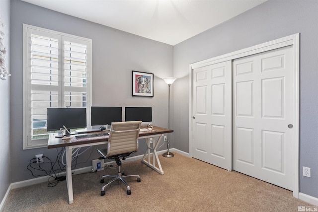 office space featuring a wealth of natural light and light colored carpet