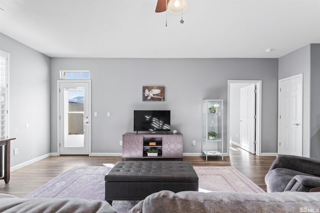 living room with ceiling fan and wood-type flooring