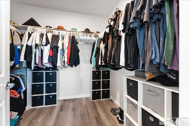 walk in closet with hardwood / wood-style floors