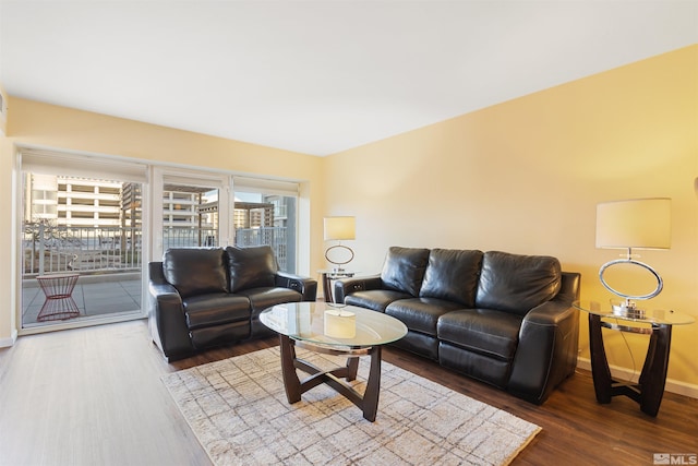 living room featuring wood-type flooring