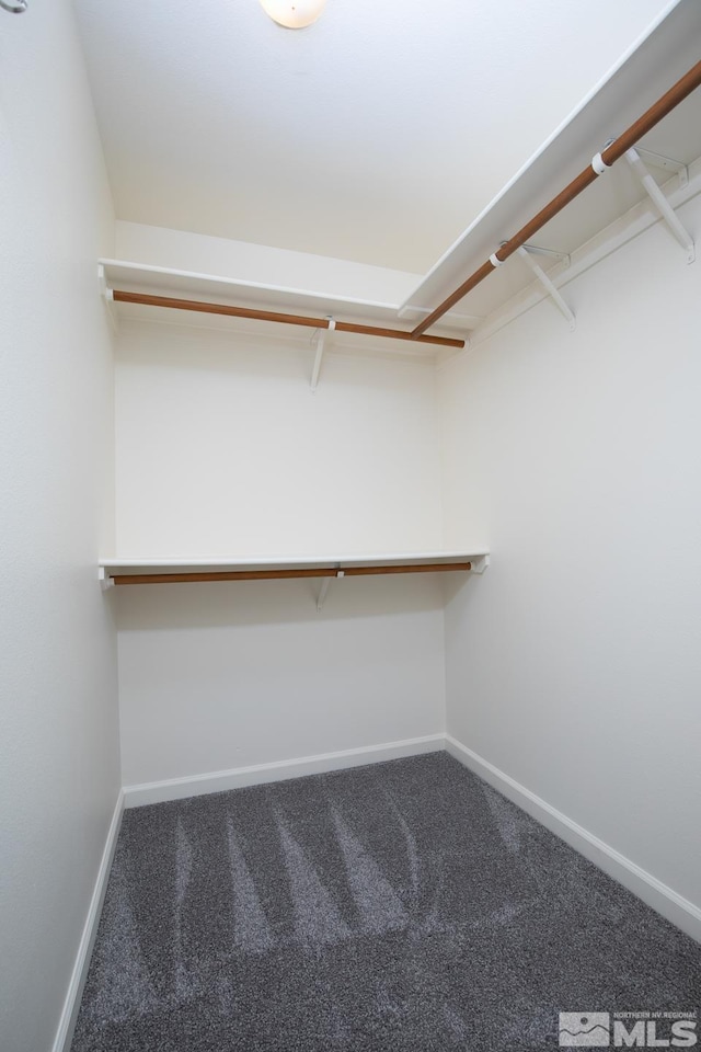 spacious closet with carpet