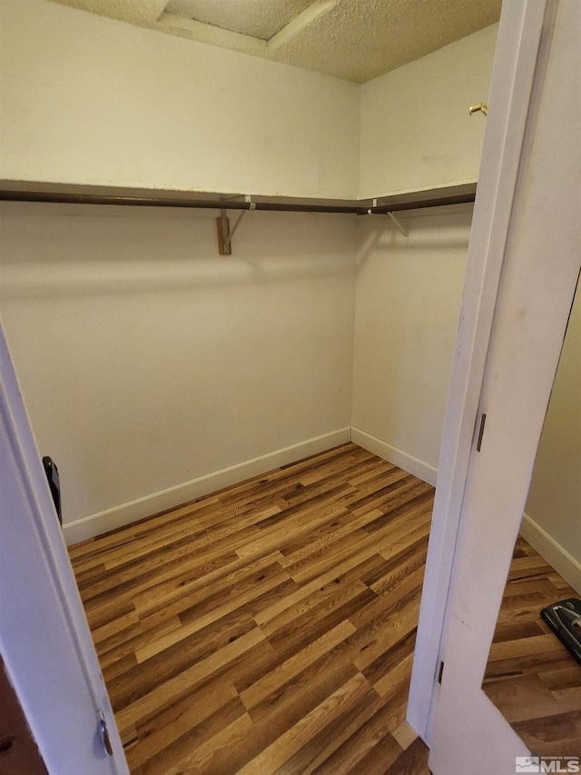 walk in closet featuring hardwood / wood-style flooring