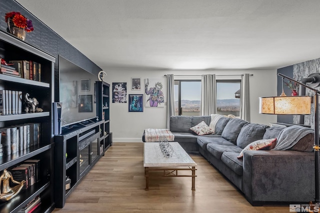 living room featuring wood-type flooring