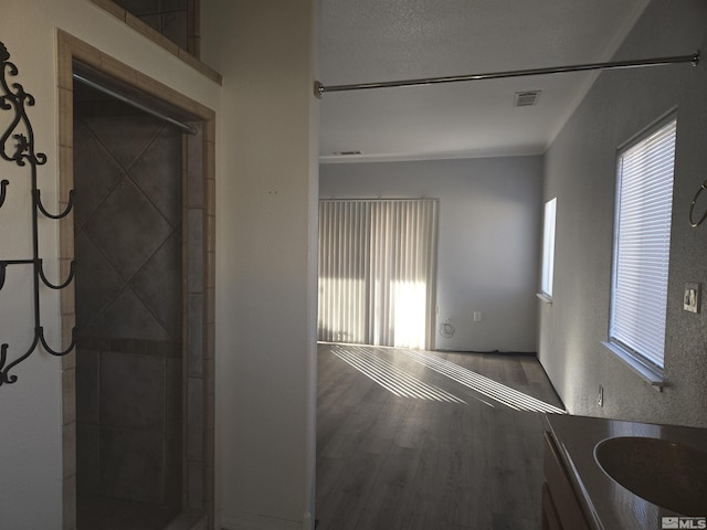 interior space featuring vanity, hardwood / wood-style flooring, and walk in shower