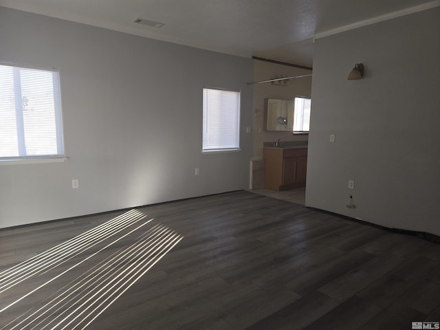 unfurnished room featuring sink and dark hardwood / wood-style floors