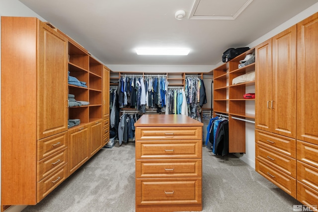 walk in closet with light carpet