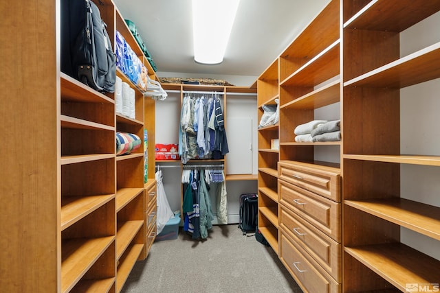 spacious closet featuring light colored carpet