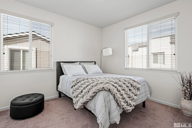 carpeted bedroom with multiple windows