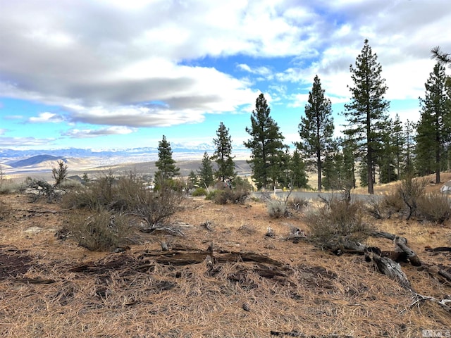 220 Overlook Dr, Carson City NV, 89705 land for sale