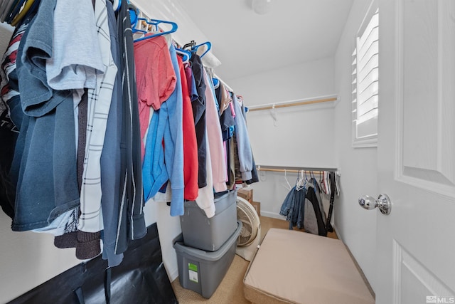 view of walk in closet