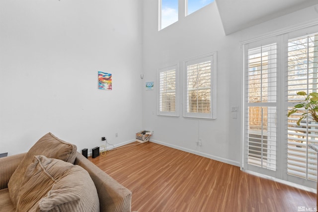 sitting room with wood-type flooring and a wealth of natural light