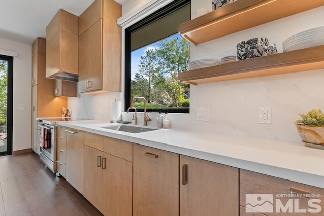 kitchen featuring light brown cabinetry, sink, decorative backsplash, and stainless steel range with electric cooktop