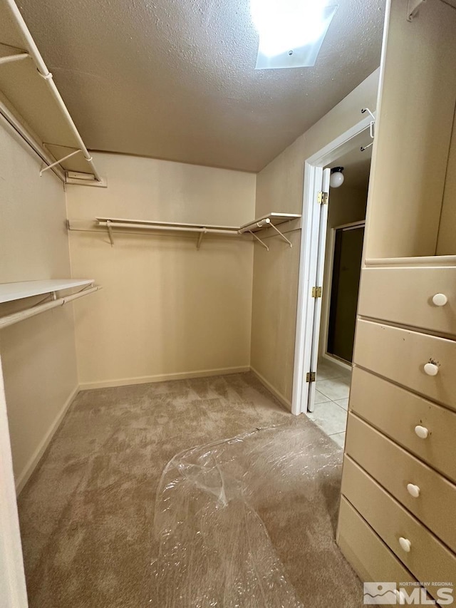 spacious closet featuring light colored carpet