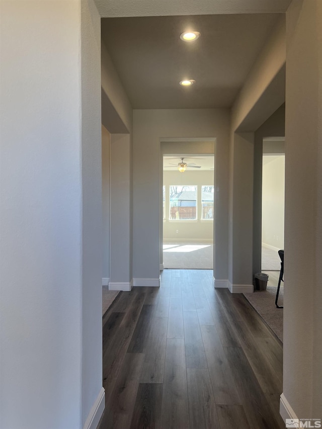 hallway featuring dark wood-type flooring