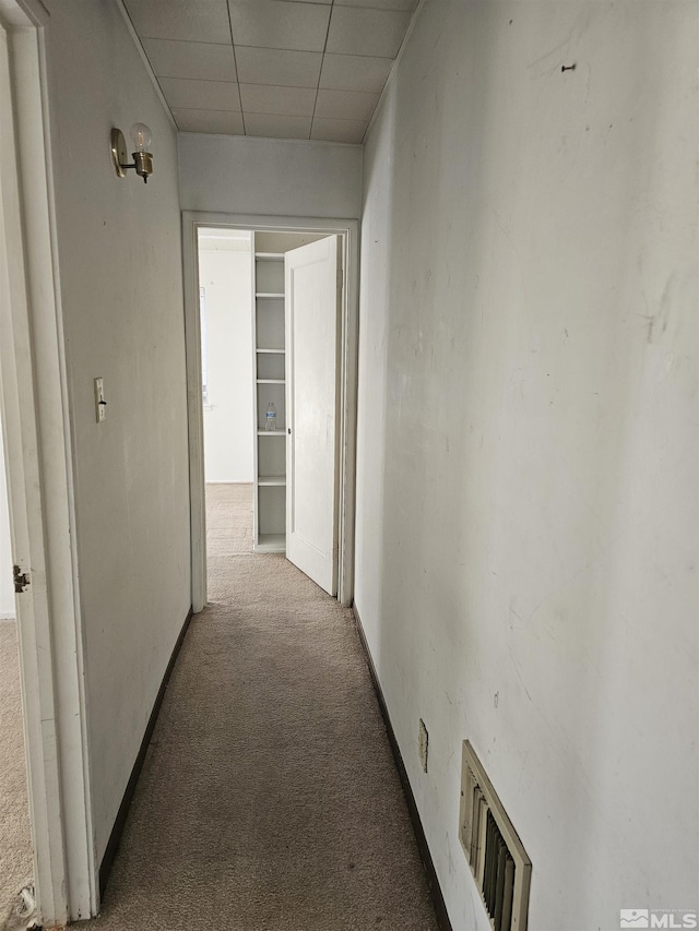 hallway with carpet and a drop ceiling