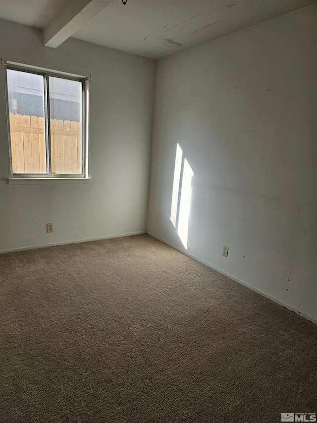 spare room with carpet flooring and beam ceiling