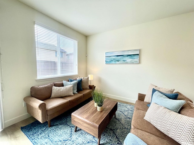 living room featuring hardwood / wood-style flooring