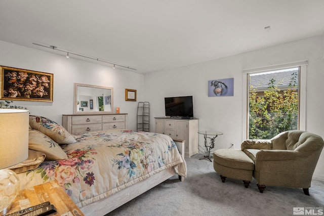 bedroom featuring track lighting and carpet floors