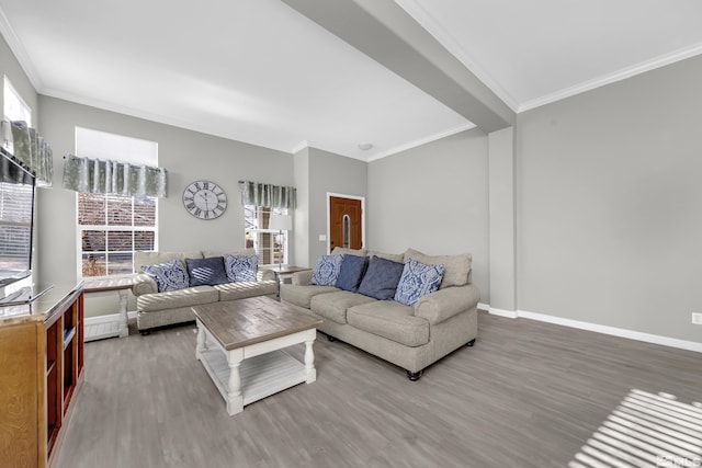 living room with ornamental molding and wood-type flooring