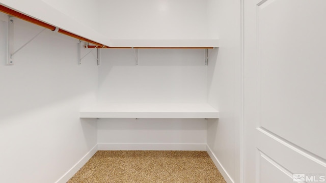 spacious closet featuring light colored carpet