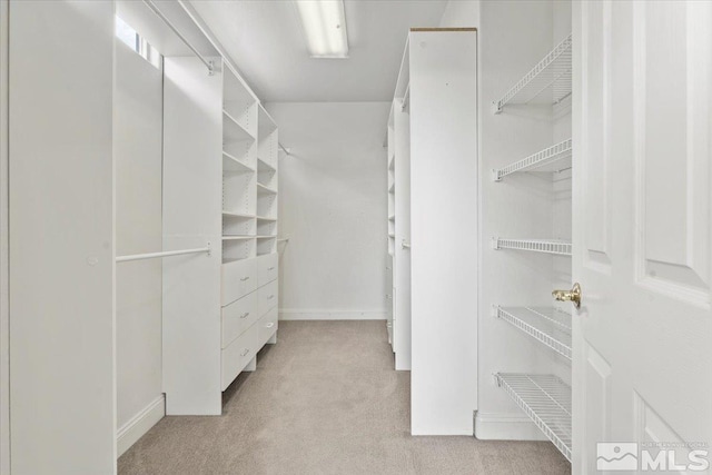 walk in closet with light carpet