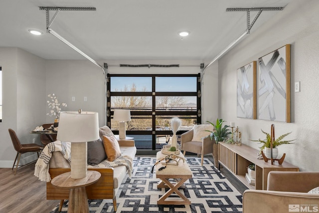 living room featuring hardwood / wood-style floors