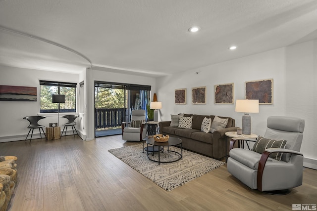 living room with wood-type flooring