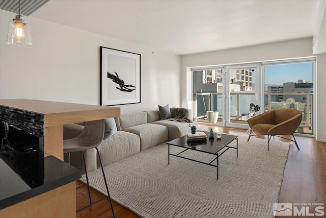 living room with dark hardwood / wood-style floors