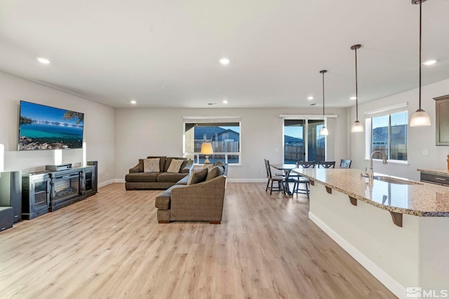 living room featuring light hardwood / wood-style floors and sink