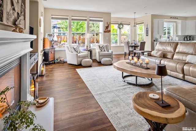 living room with dark wood-type flooring and plenty of natural light