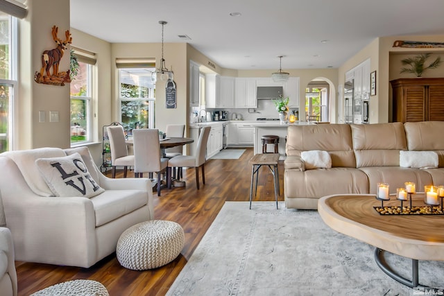 living room with dark wood-type flooring and sink