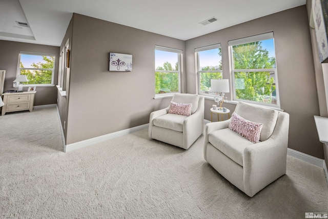 living area featuring carpet floors