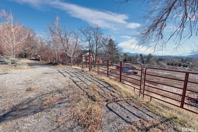 view of yard with a mountain view and a rural view