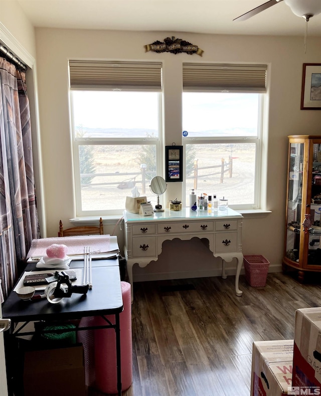 interior space with ceiling fan, dark hardwood / wood-style flooring, and white cabinets